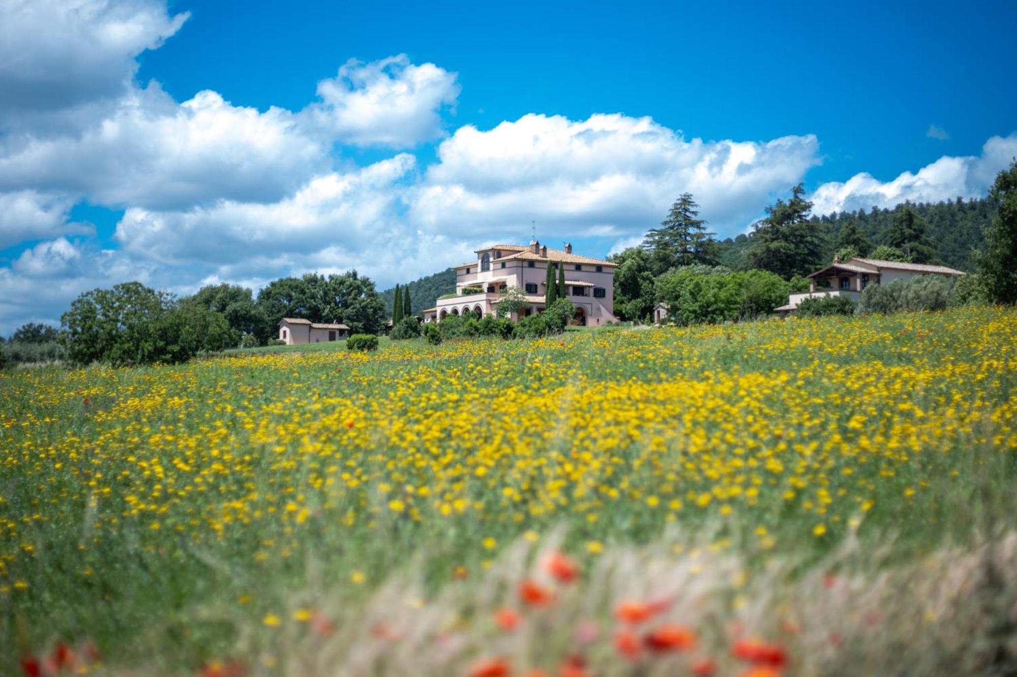 Agri Relais Il Poderaccio Di Bolsena Exterior photo