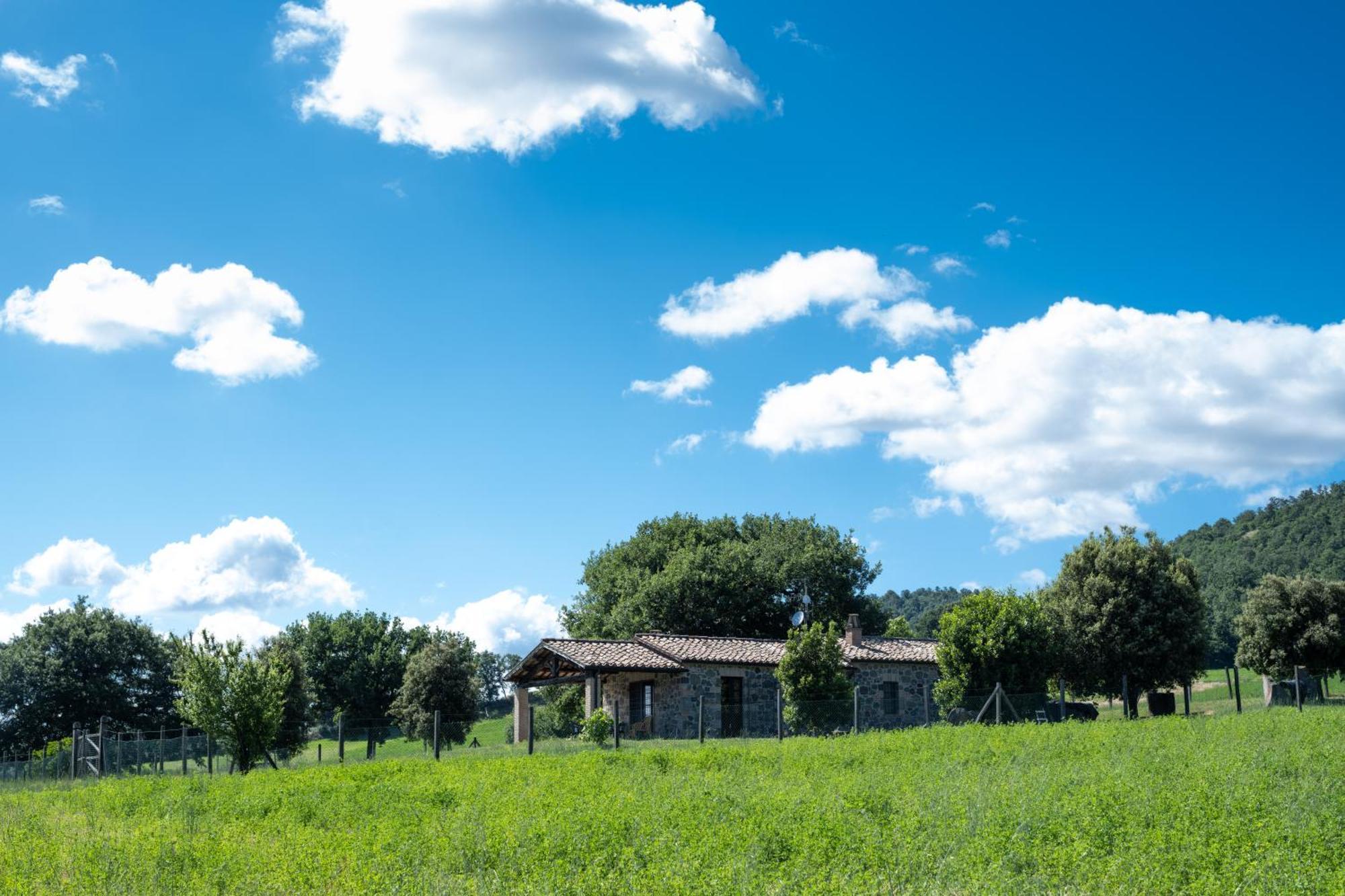 Agri Relais Il Poderaccio Di Bolsena Exterior photo