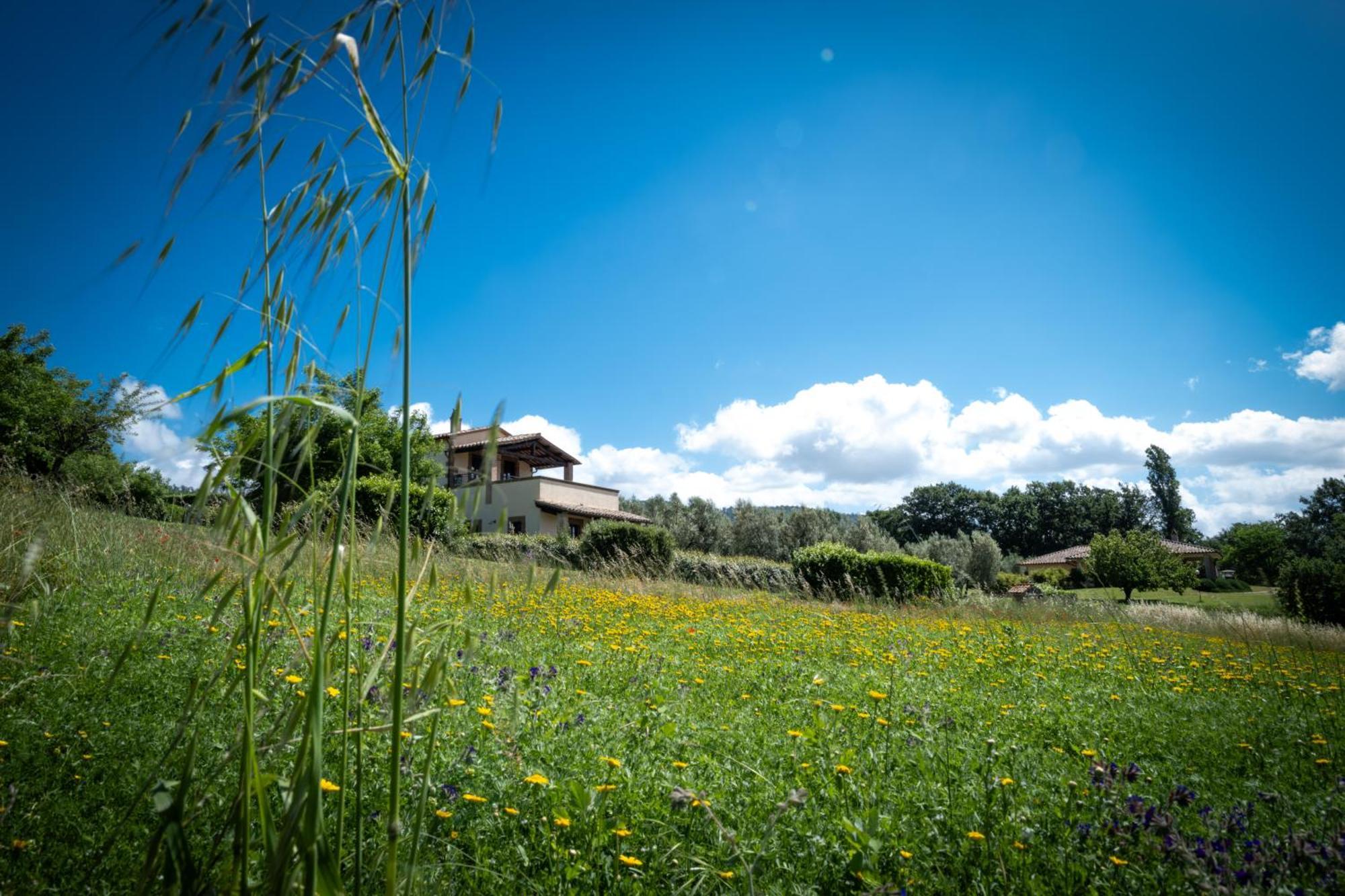 Agri Relais Il Poderaccio Di Bolsena Exterior photo