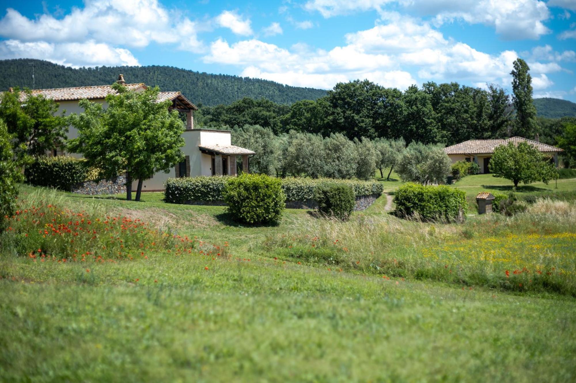 Agri Relais Il Poderaccio Di Bolsena Exterior photo